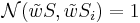 \mathcal{N}(\tilde w S, \tilde w S_i) = 1
